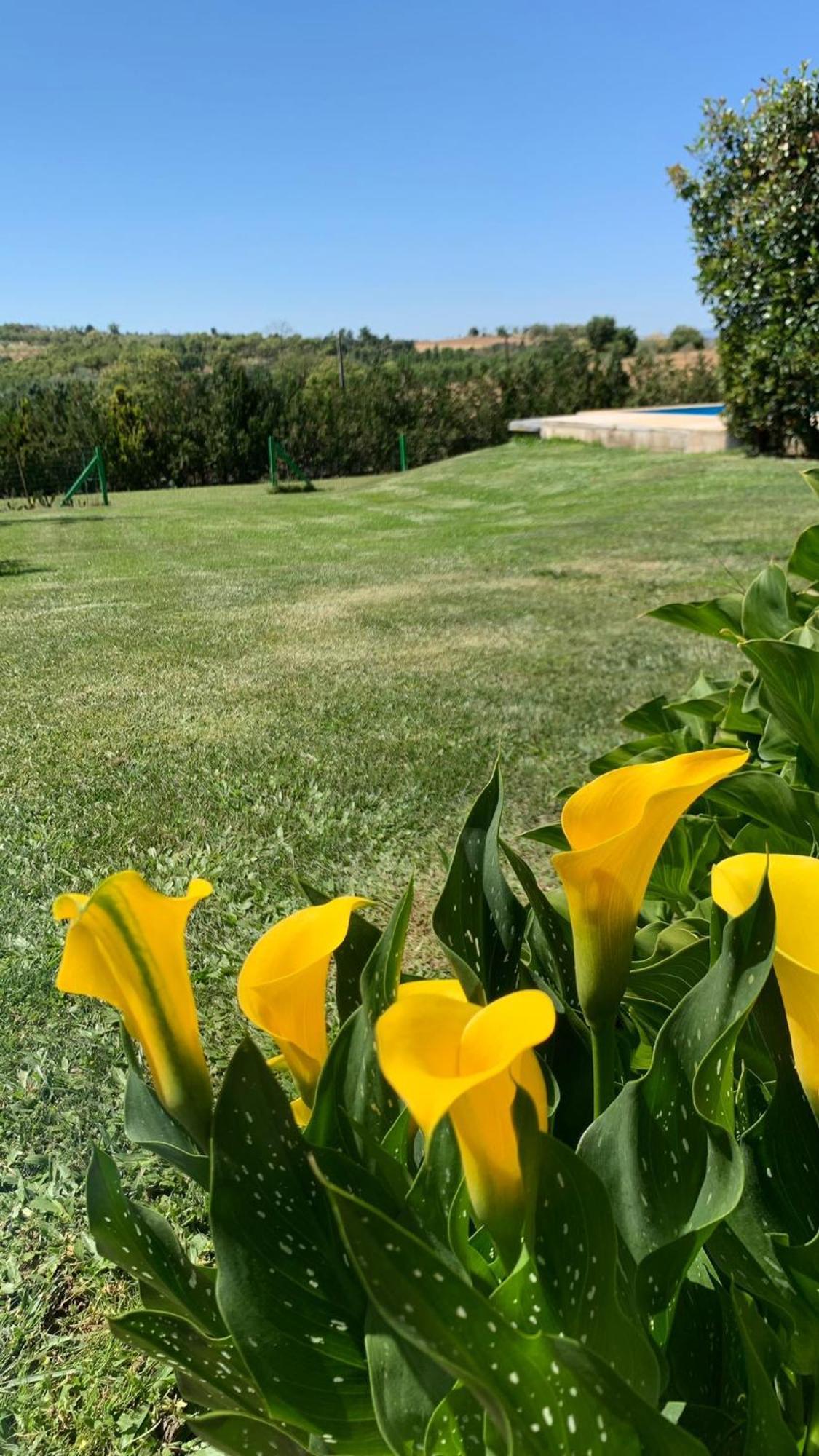Quinta Pedro E Ines Bragança Exterior foto