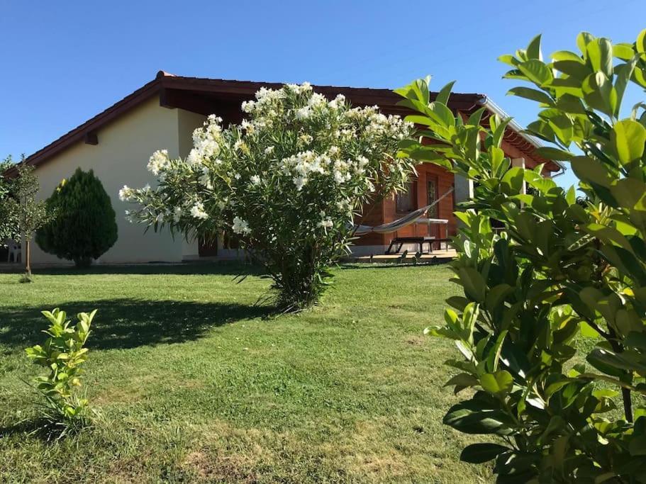 Quinta Pedro E Ines Bragança Exterior foto